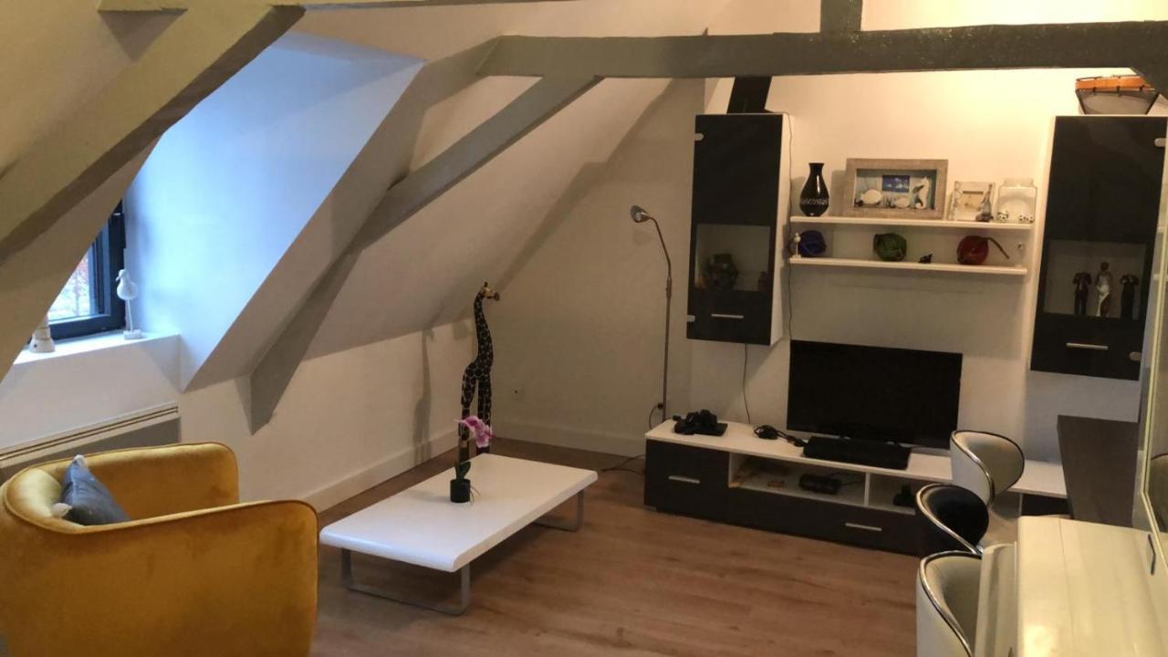 Logement Avec Deux Appartements Sur Deux Etages Wormhout Ngoại thất bức ảnh